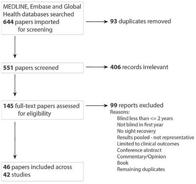 Learning to see after early and extended blindness: A scoping review